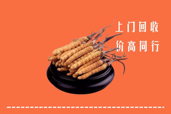 高价求购：深州市回收散虫草