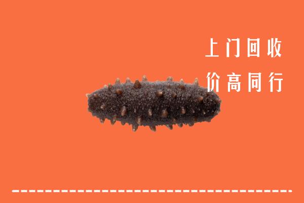 高价求购：深州市回收海参