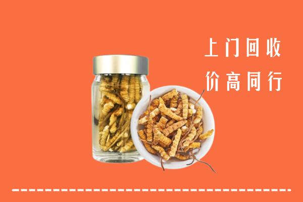 深州市回收冬虫夏草